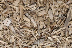 biomass boilers Long Eaton